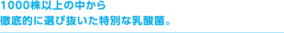 1000株以上の中から徹底的に選び抜いた特別な乳酸菌。