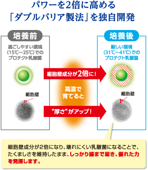 パワーを2倍に高める「ダブルバリア製法」を独自開発
