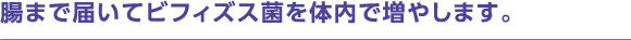 腸まで届いてビフィズス菌を体内で増やします。