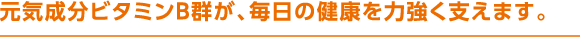 元気成分ビタミンＢ群が、毎日の健康を力強く支えます。