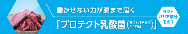 働かせない力が腸まで届く「プロテクト乳酸菌（ラクトバチルスS-PT84）」ラクトバリア成分その1