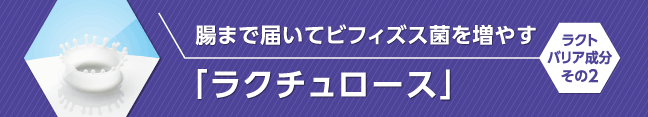 腸まで届いてビフィズス菌を増やす「ラクチュロース」ラクトバリア成分その2