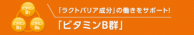 「ラクトバリア成分」の働きをサポート！「ビタミンB群」