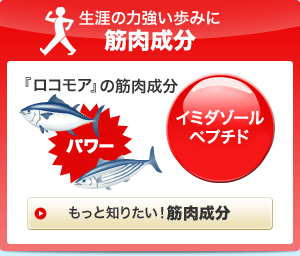 生涯の力強い歩みに筋肉成分　『ロコモア』の筋肉成分　イミダゾールペプチド　もっと知りたい！筋肉成分