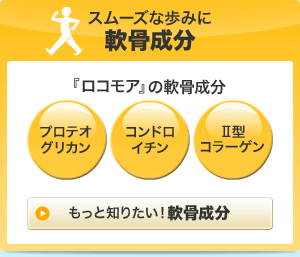 スムーズな歩みに軟骨成分　『ロコモア』の軟骨成分　『ロコモア』の軟骨成分　プロテオグリカン　コンドロイチン　Ⅱ型コラーゲン　もっと知りたい！軟骨成分