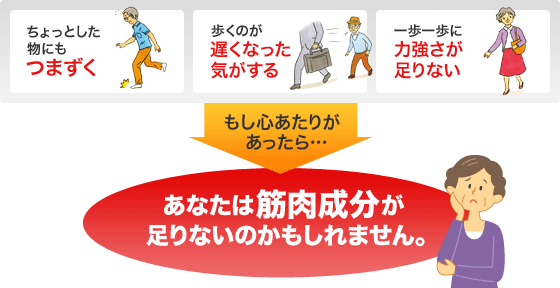 ちょっとした物にもつまずく　歩くのが遅くなった気がする　一歩一歩に力強さが足りない　もし心あたりがあったら…　あなたは筋肉成分が足りないのかもしれません。