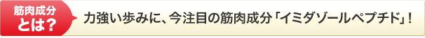 筋肉成分とは？力強い歩みに、今注目の筋肉成分「イミダゾールペプチド」！