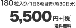 180粒入り／1日6粒目安（約30日分）5,500円＋税　送料無料