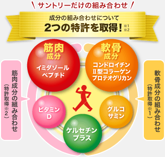 筋肉成分（イミダゾールペプチド） 軟骨成分（プロテオグリカン コンドロイチン Ⅱ型コラーゲン） ビタミンD ケルセチンプラス グルコサミン