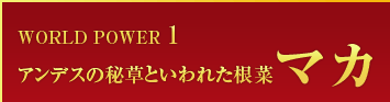 WORLD POWER 1 アンデスの秘草といわれた根菜 マカ