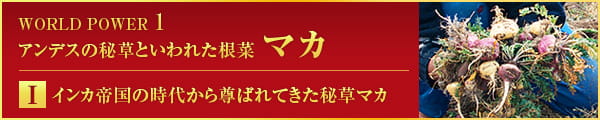 WORLD POWER 1 アンデスの秘草といわれた根菜 マカ Ⅰ インカ帝国の時代から尊ばれてきた秘草マカ
