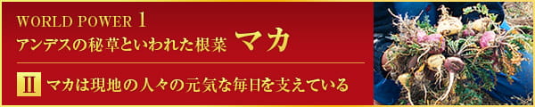WORLD POWER 1 アンデスの秘草といわれた根菜 マカ Ⅱ マカは現地の人々の元気な毎日を支えている