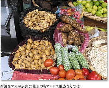新鮮なマカが店頭に並ぶのもアンデス地方ならでは。