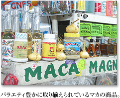 バラエティ豊かに取り揃えられているマカの商品。