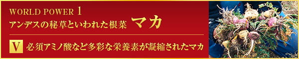 WORLD POWER 1 アンデスの秘草といわれた根菜 マカ Ⅴ 必須アミノ酸など多彩な栄養素が凝縮されたマカ