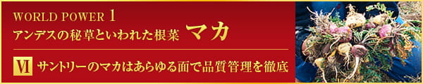 WORLD POWER 1 アンデスの秘草といわれた根菜 マカ Ⅵ サントリーのマカはあらゆる面で品質管理を徹底