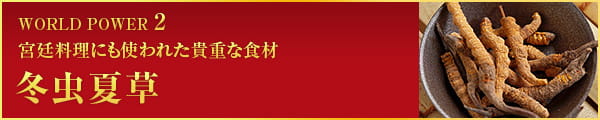 WORLD POWER 2 宮廷料理にも使われた貴重な食材 冬虫夏草