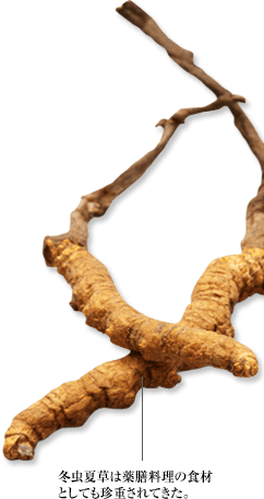 冬虫夏草は薬膳料理の食材としても珍重されてきた。