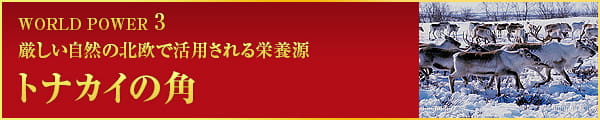 WORLD POWER 3 厳しい自然の北欧で活用される栄養源 トナカイの角