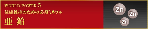 WORLD POWER 5 健康維持のための必須ミネラル 亜 鉛