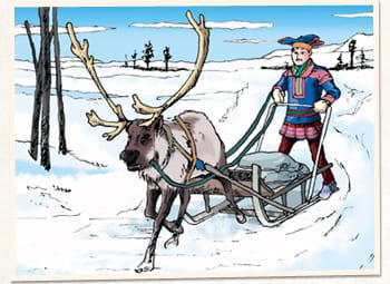 サーミ人にとって、トナカイは厳しい環境の中を生きるための貴重な資源です。