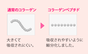 通常のコラーゲン：大きくて 吸収されにくい。→コラーゲンペプチド：吸収されやすいように 細分化しました。