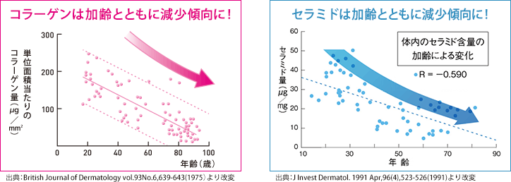 コラーゲンは加齢とともに減少傾向に！ セラミドは加齢とともに減少傾向に！