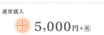 通常購入 送料無料 5,000円+税