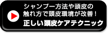 シャンプー方法や頭皮の触れ方で頭皮環境が改善！正しい頭皮ケアテクニック