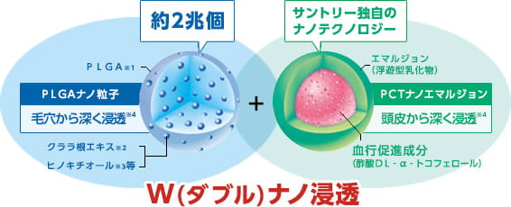 約2兆個ＰＬＧＡ※1ＰＬＧＡナノ粒子毛穴から深く浸透※4クララ根エキス※2ヒノキチオール※3等+サントリー独自のナノテクノロジーエマルジョン（浮遊型乳化物）ＰＣＴナノエマルジョン頭皮から深く浸透※4血行促進成分（酢酸ＤＬ‐α‐トコフェロール）W(ダブル)ナノ浸透