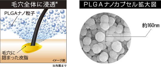 毛穴全体に浸透※PLGAナノ粒子　毛穴に詰まった皮脂　PLGAナノカプセル拡大図　約160nm　※角層まで
