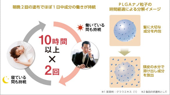 朝晩２回の塗布でほぼ１日中成分の働きが持続　働いている間も持続　寝ている間も持続　10時間以上×2回ＰＬＧＡナノ粒子の時間経過による分解イメージ　髪に大切な成分を内包　頭皮の水分で溶け出し成分を放出※1 湿潤剤：クララエキス（1）　※2 製品の抗菌剤として