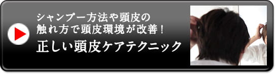 シャンプー方法や頭皮の触れ方で頭皮環境が改善！正しい頭皮ケアテクニック
