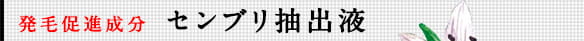 発毛促進成分 センブリ抽出液