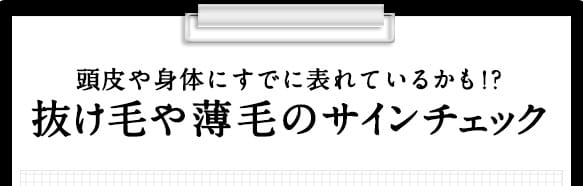 頭皮や身体にすでに表れているかも！？抜け毛や薄毛のサインチェック