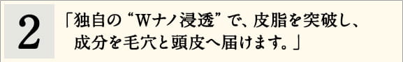 2「独自の“Ｗナノ浸透”で、皮脂を突破し、成分を毛穴と頭皮へ届けます。」