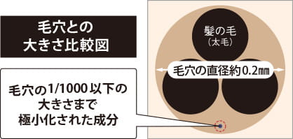 毛穴との大きさ比較図　毛穴の1/1000以下の大きさまで極小化された成分　髪の毛(太毛)毛穴の直径約0.2mm