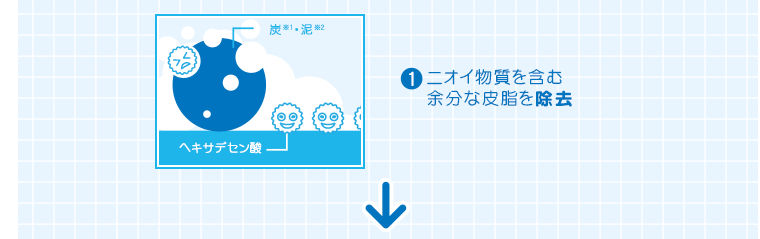 （1）ニオイ物質を含む余分な皮脂を除去