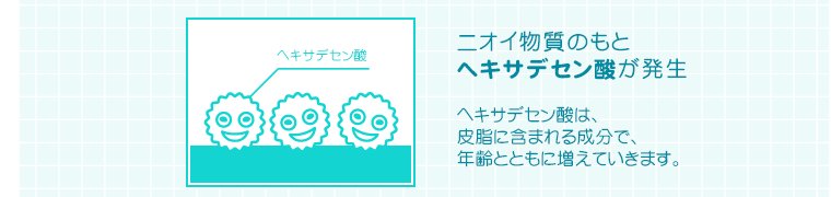 ニオイ物質のもとヘキサデセン酸が発生　ヘキサデセン酸は、皮脂に含まれる成分で、年齢とともに増えていきます。