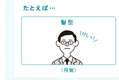 たとえば、髪型（視覚）