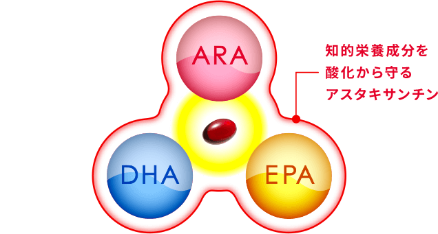 知的栄養素を酸化から守るアスタキサンチン