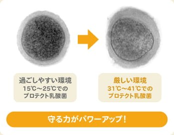守る力がパワーアップ！