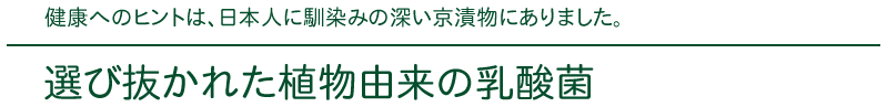 健康へのヒントは、日本人に馴染みの深い京漬物にありました。
選び抜かれた植物由来の乳酸菌