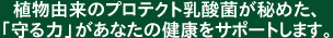 植物由来のプロテクト乳酸菌が秘めた、「守る力」があなたの健康をサポートします。