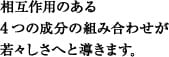 相互作用のある4つの成分の組み合わせが若々しさへと導きます。