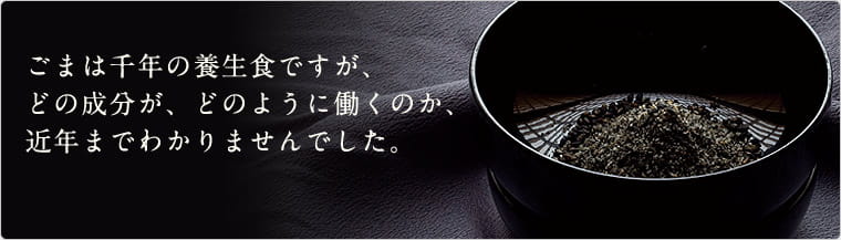 ごまは千年の養生食ですが、どの成分が、どのように働くのか、近年までわかりませんでした。