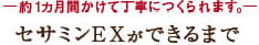 -約1カ月間かけて丁寧に作られます。-セサミンEXができるまで