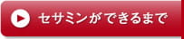 セサミンができるまで