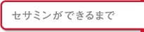 セサミンができるまで