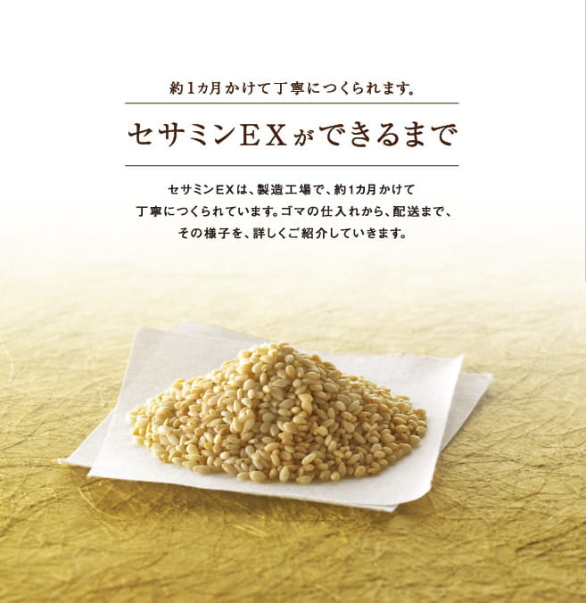 約1カ月かけて丁寧につくられます。セサミンEXができるまで セサミンEXは、製造工場で、約1カ月かけて丁寧につくられています。
ゴマの仕入れから、配送まで、その様子を、詳しくご紹介していきます。